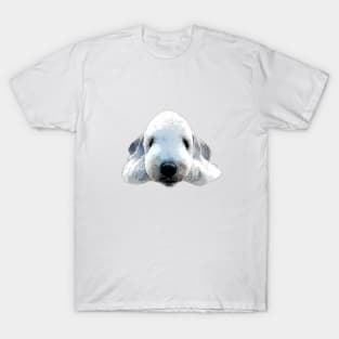 Bedlington Terrier Head Art T-Shirt